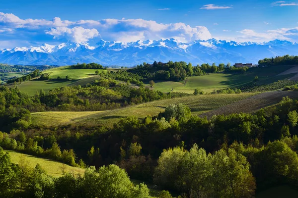 Vue sur les vignobles et les collines de Langa Piemonte Italie — Photo