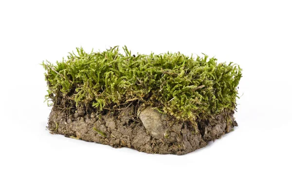 Clump of ground photographed in studio — Stock Photo, Image