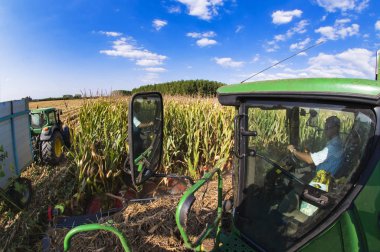 Bir traktör alanında birleştirmek sürücü bakar
