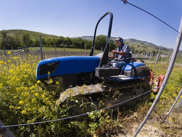 Raupen-Traktorfahrer arbeitet in den Reihen der Weinberge — Stockfoto