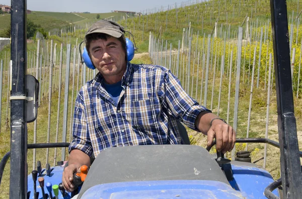 Crawler trekker stuurprogramma werkt onder de rijen van wijngaarden — Stockfoto
