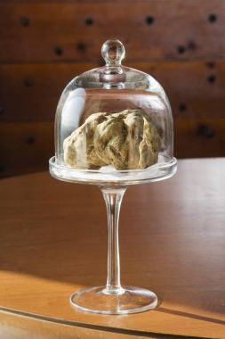 Cam çan Kaide ile harika beyaz trüf