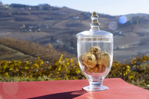 Wonderful white truffle inside a transparent glass jar