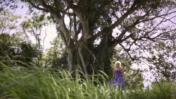 トロピカルフォレスト内の大きな木の近くの緑の芝生の上を歩くエレガントな紫色のドレスで巻きブロンドの髪の若い官能的な女性 映画の葉のビュー — ストック動画