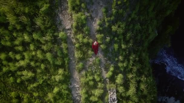 Mujer Joven Vestido Rojo Largo Elegante Sube Cima Montaña Vista — Vídeo de stock