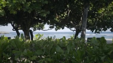Kıyı şeridi, beyaz kumsal ve yeşil ağaçlar ve bitkilerle dalgalı okyanus manzarası çok güzel. Nusa Dua, Bali.