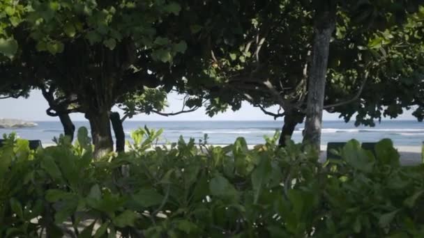 Kıyı Şeridi Beyaz Kumsal Yeşil Ağaçlar Bitkilerle Dalgalı Okyanus Manzarası — Stok video
