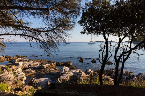 Sonnenuntergang Und Luxusjacht Meer Rovinj Kroatien — Stockfoto