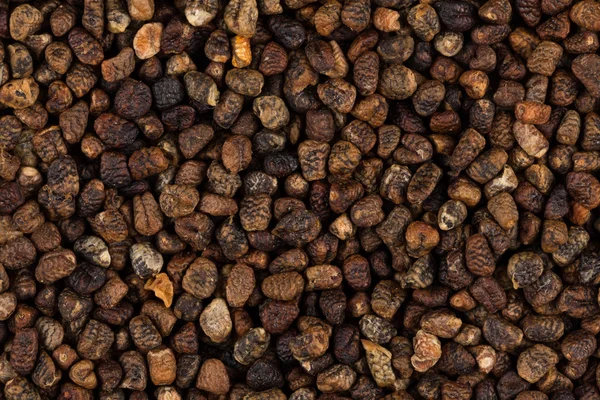Decorticated cardamom seeds — Stock Photo, Image