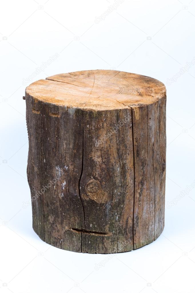 log isolated on a white background