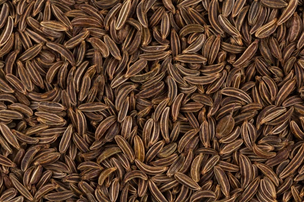 Close up caraway seeds — Stock Photo, Image