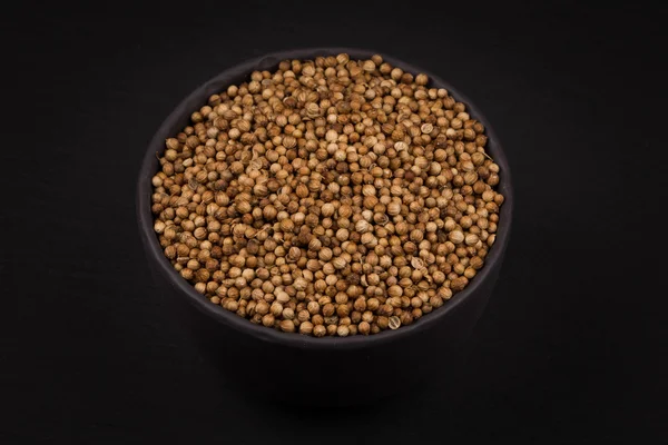 Семена кориандра в маленькой миске — стоковое фото