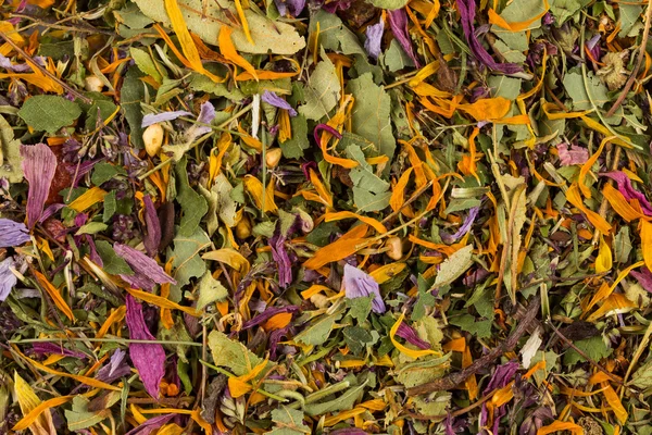 Folhas secas de chá de ervas — Fotografia de Stock
