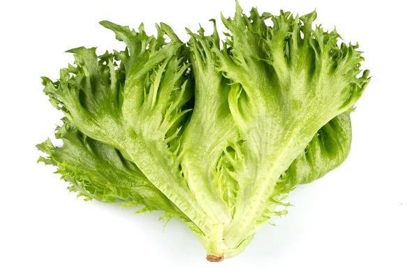 Textura de lechuga fresca — Foto de Stock