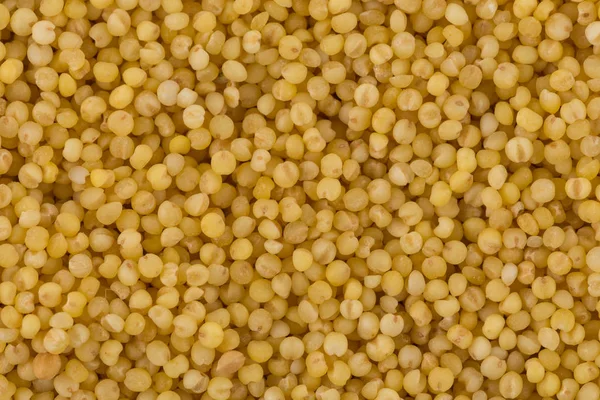 Dry millet closeup — Stock Photo, Image