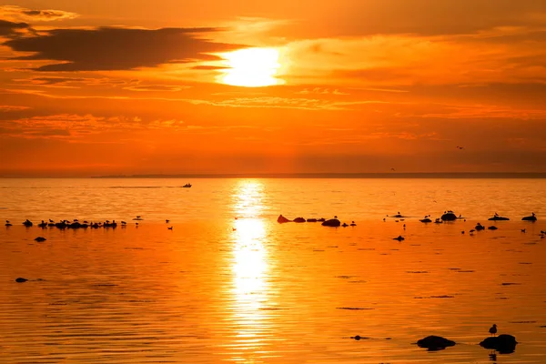 Boot bij zonsondergang — Stockfoto