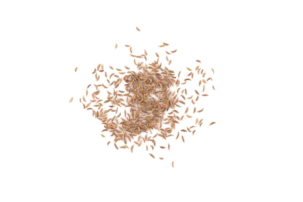 Heap de sementes de alcaravia secas — Fotografia de Stock
