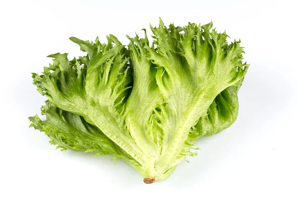 Textura de lechuga fresca — Foto de Stock