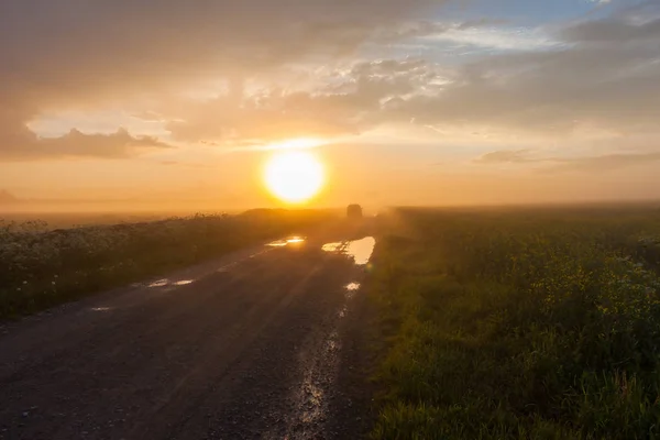 Misty Rural Road Puddles Field — Stock Photo, Image