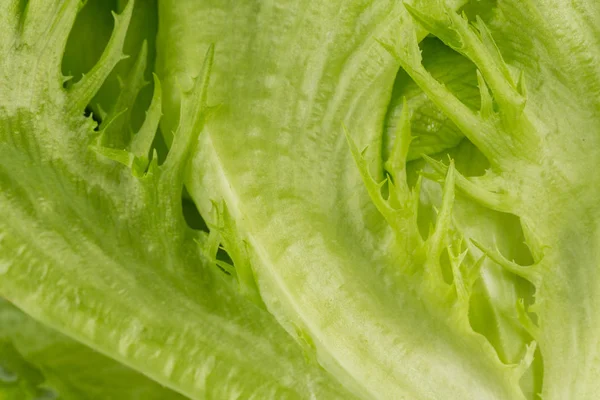 Verde Lechuga Fresca Ensalada Textura Cerca Disparo — Foto de Stock