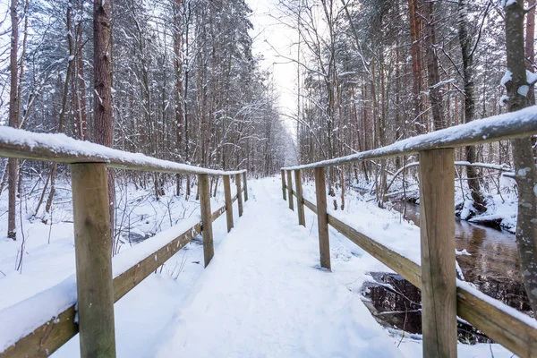 Dřevěný Most Sněhovém Lese Zblízka — Stock fotografie