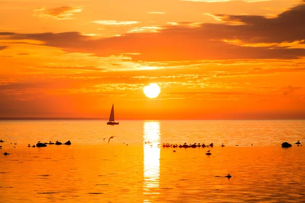 Zeiljachten Zee Bij Kust Van Tallinn Estland — Stockfoto