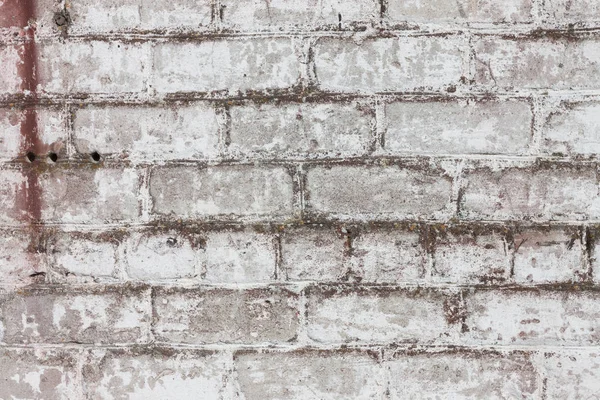 Pis Beyaz Tuğlalı Kirli Duvar Arkaplanı Dokusu — Stok fotoğraf