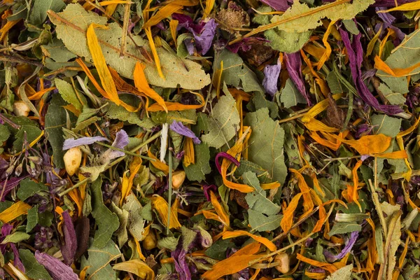 Szárított Gyógynövény Virág Tea Levelek Közelről Mint Egy Háttér — Stock Fotó