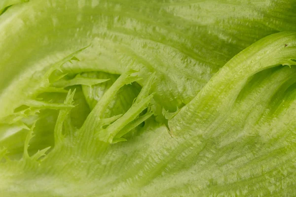 Verde Lechuga Fresca Ensalada Textura Cerca Disparo —  Fotos de Stock
