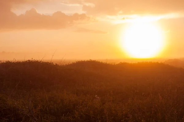 Padang rumput berkabut saat matahari terbenam — Stok Foto