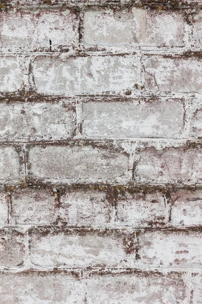 Cegła biała ściana brudne tło — Zdjęcie stockowe