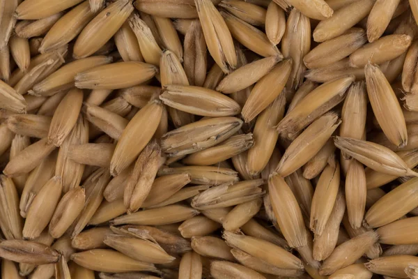 自然麦粒背景、クローズ アップ — ストック写真