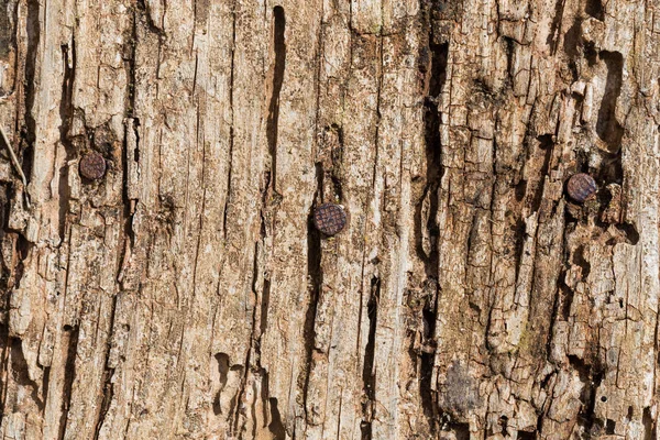 Molto vecchio sfondo di legno — Foto Stock