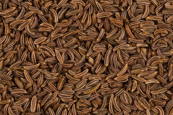 Cerca de semillas de alcaravea — Foto de Stock