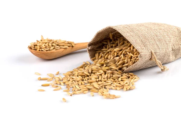 Tigela de grãos de aveia orgânica — Fotografia de Stock