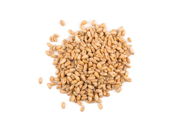 Beyaz buğday tahıl — Stok fotoğraf