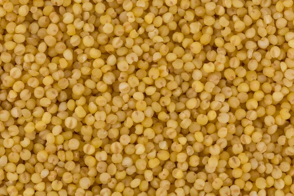 Closeup de milho seco — Fotografia de Stock