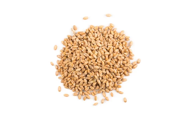 Wheat grain on white — Stock Photo, Image