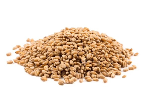 Пшеничное зерно на белом — стоковое фото