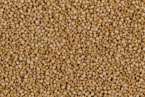 Sementes de quinoa fechar — Fotografia de Stock