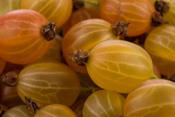 Gooseberry tiro de cerca —  Fotos de Stock