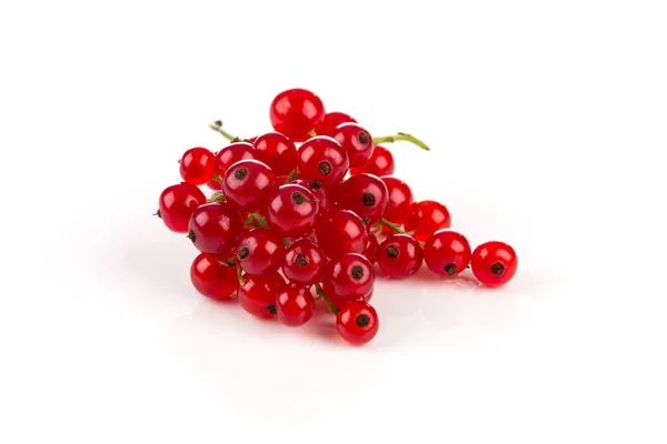 Red currant isolated — Stock Photo, Image