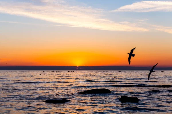 Céu Brilhante Pássaros Rochas Água Pôr Sol Sobre Mar — Fotografia de Stock