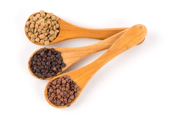 Lentils in spoon isolated — Stock Photo, Image