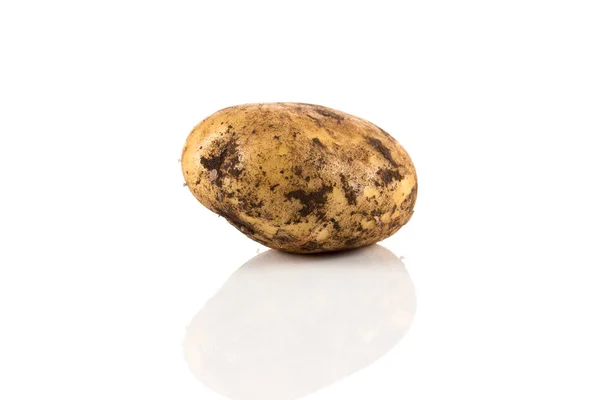 Брудна картопля ізольована на білому тлі . — стокове фото