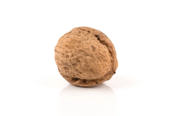 Stock image Walnut nut on white