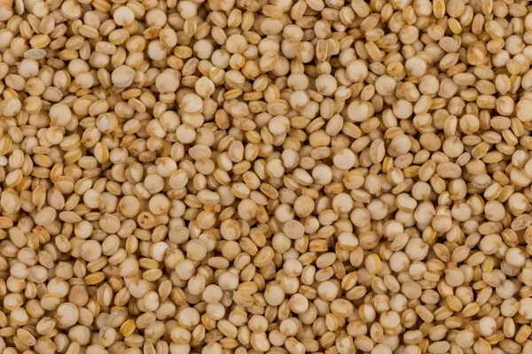 Graines de quinoa gros plan — Photo