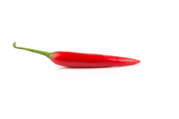 Fresh red chili on white background — Stock Photo, Image