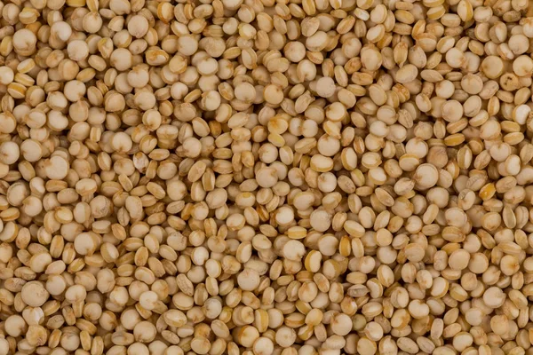 Nasion quinoa z bliska — Zdjęcie stockowe