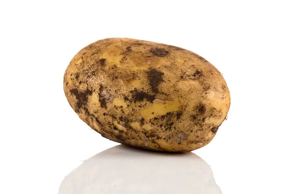 Βρώμικο πατάτας που απομονώνονται σε λευκό φόντο. — Φωτογραφία Αρχείου